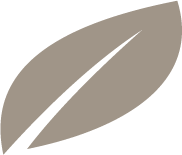 Logo de terratabu.uy